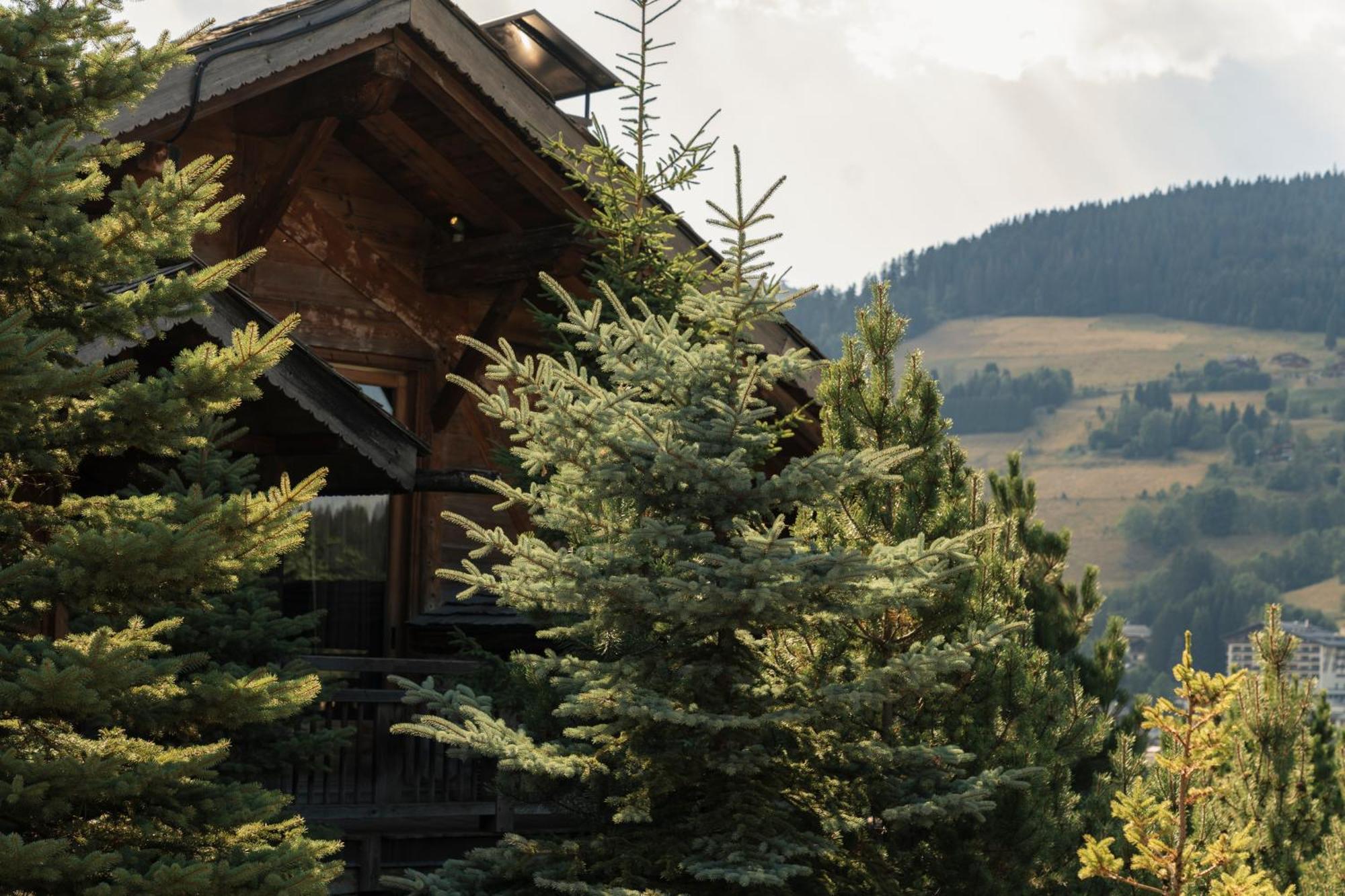 Zannier Le Chalet Megève Esterno foto